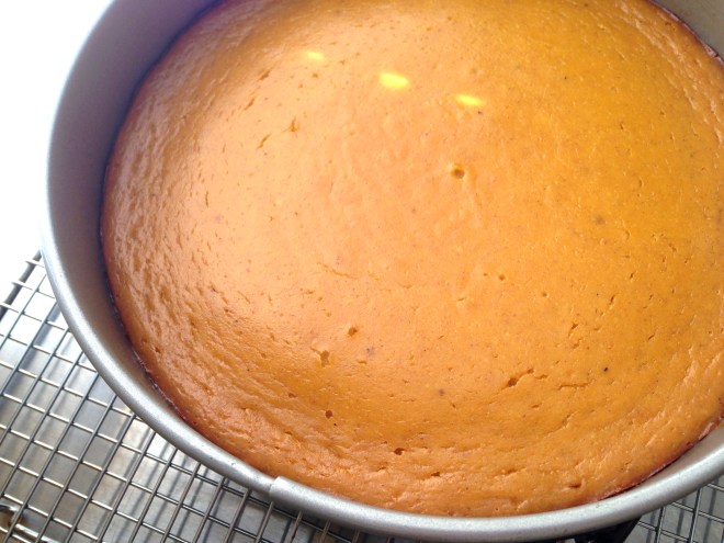 pumpkin ricotta cheesecake
