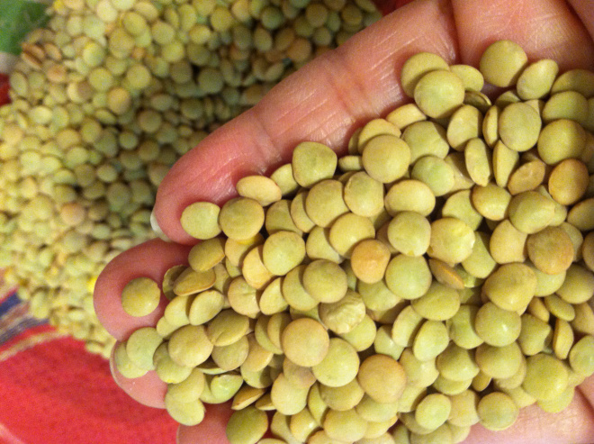 Close up of Lentils