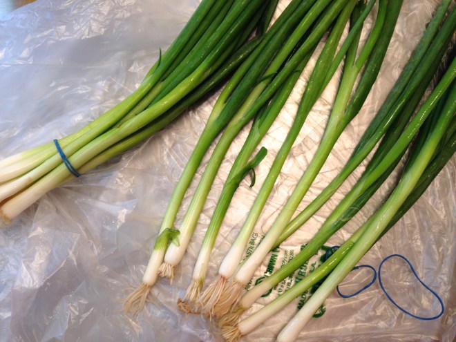 undo the scallions