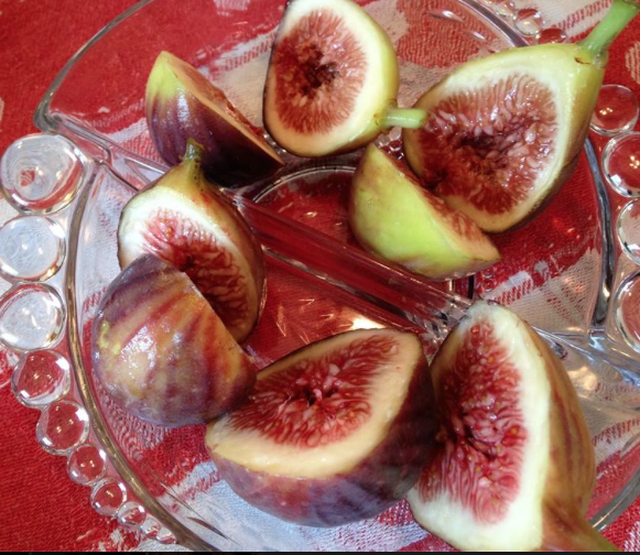 brown turkey figs