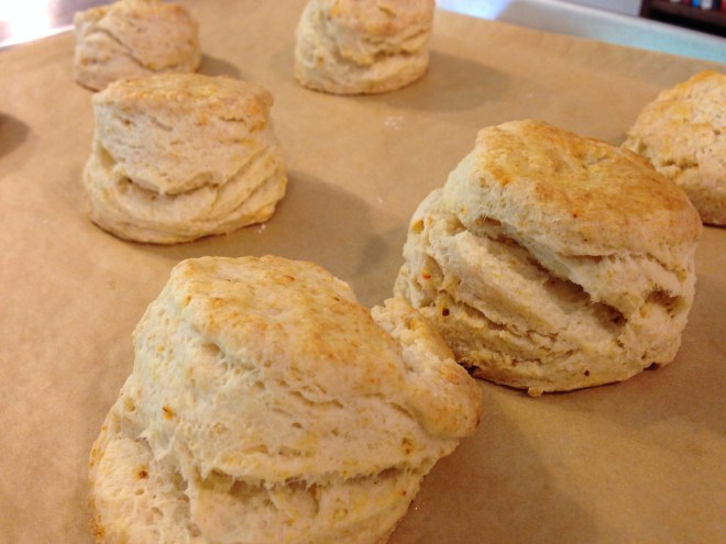 just baked biscuits