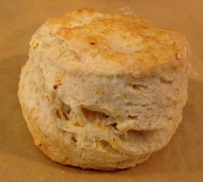 my friend, the biscuit